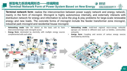 中國(guó)電科院 王繼業(yè) 新型電力系統(tǒng)的技術(shù)問(wèn)題研究